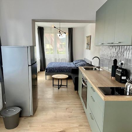 Apartmany Berlin - 捷克布杰约维采 外观 照片